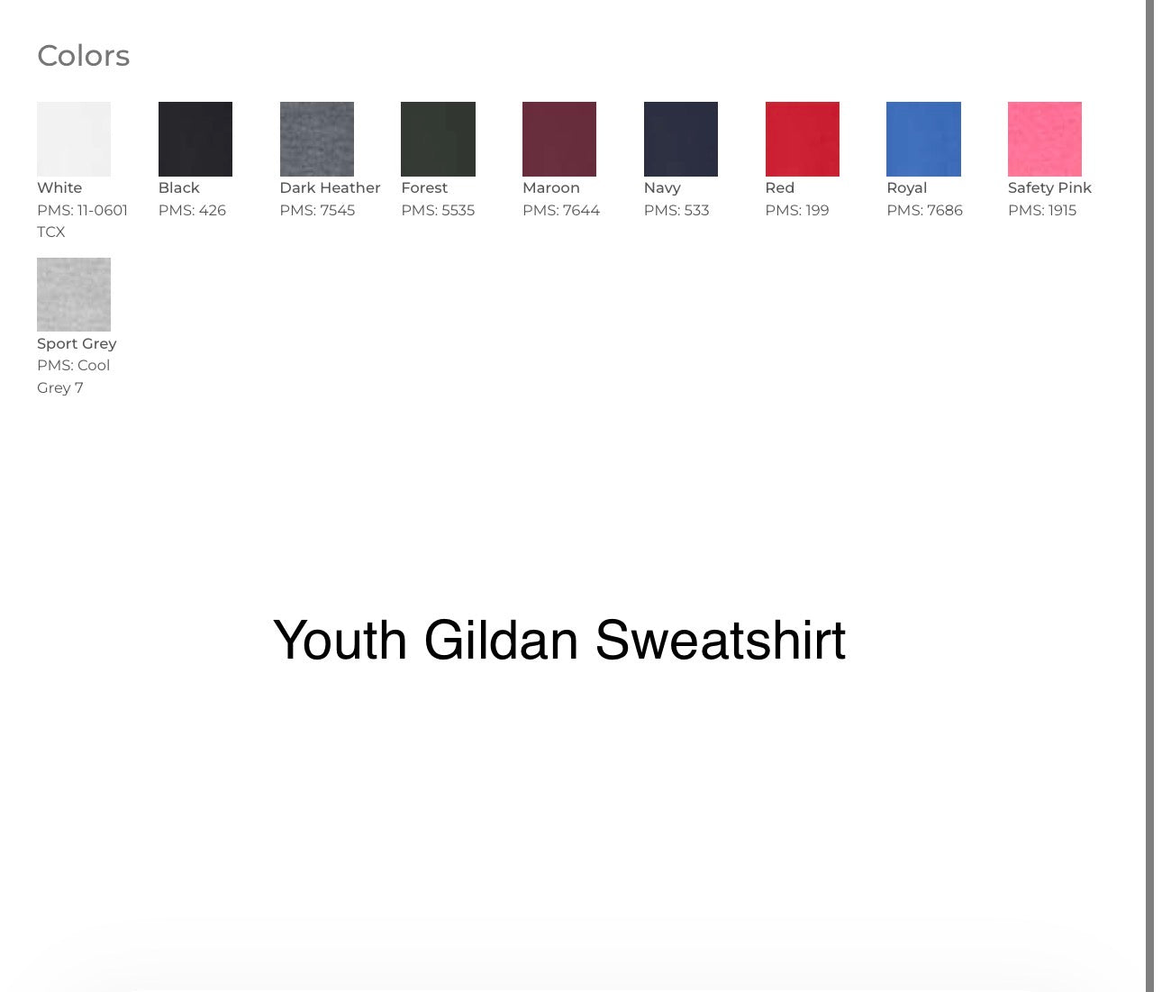 Arched Applique Sweatshirt- YOUTH